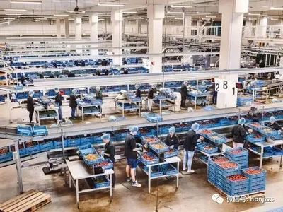 【視界】超越德國？揭秘農業科技領域的隱形冠軍